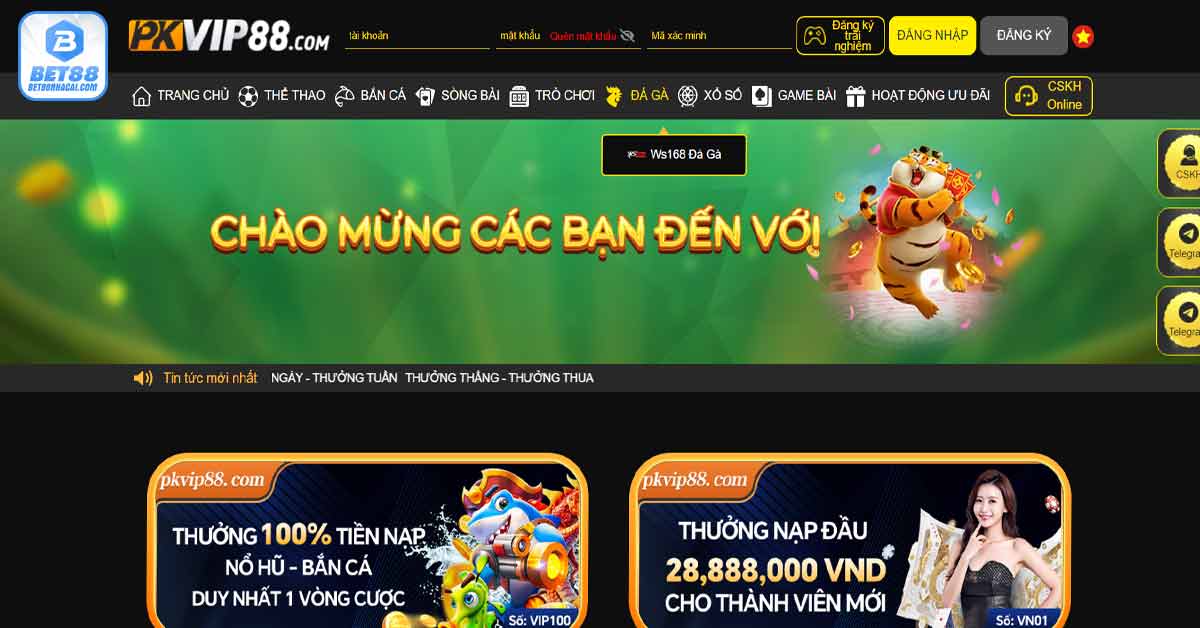 Chương trình khuyến mãi, ưu đãi mà game PKvip 88 áp dụng